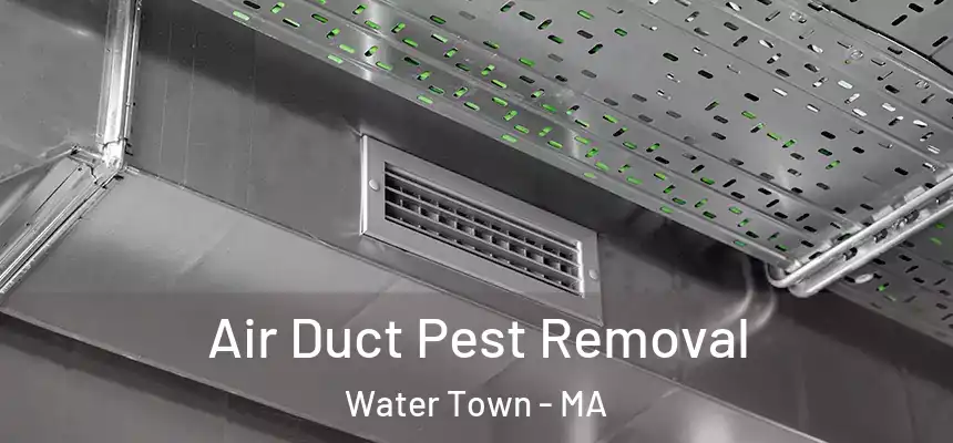  Air Duct Pest Removal Water Town - MA
