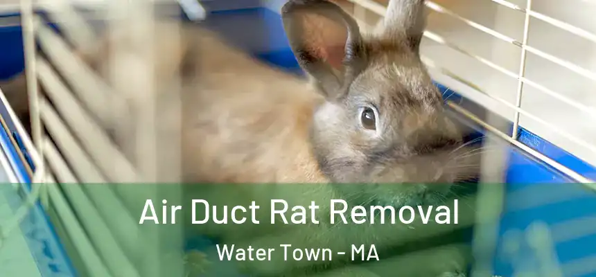  Air Duct Rat Removal Water Town - MA