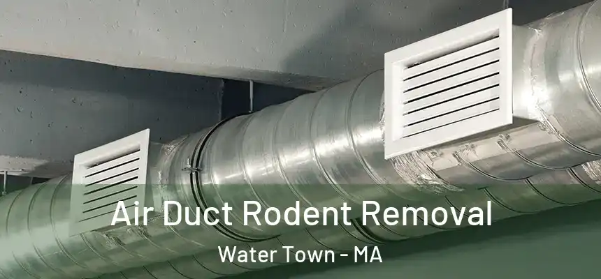  Air Duct Rodent Removal Water Town - MA