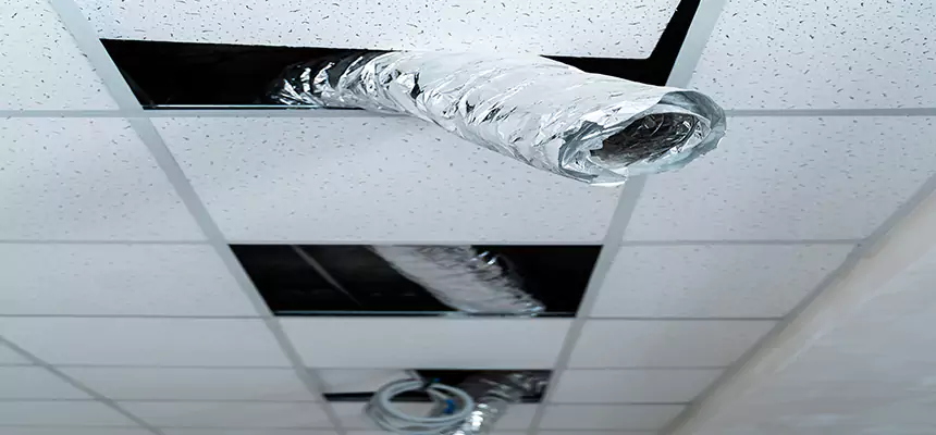 Affordable HVAC Sanitizing After Pest Removal in Water Town