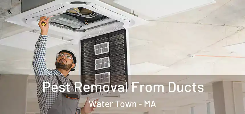  Pest Removal From Ducts Water Town - MA