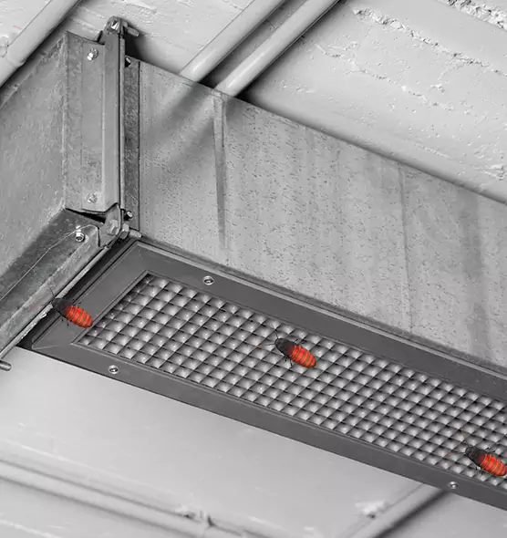 About Air Duct Cockroach Removal in Water Town, MA