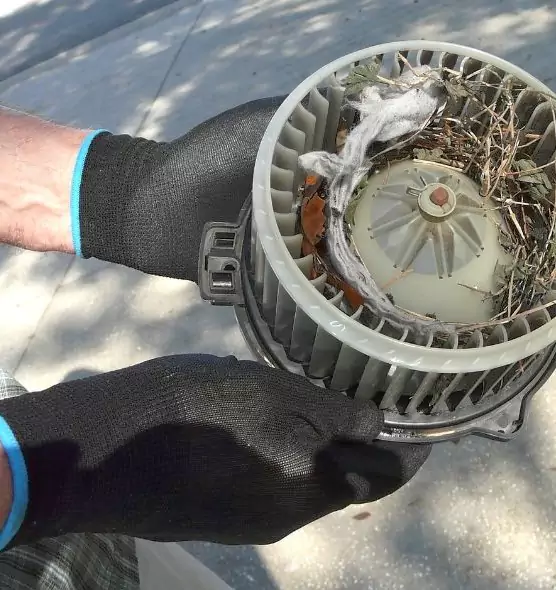 About Air Duct Mice Removal in Water Town, MA