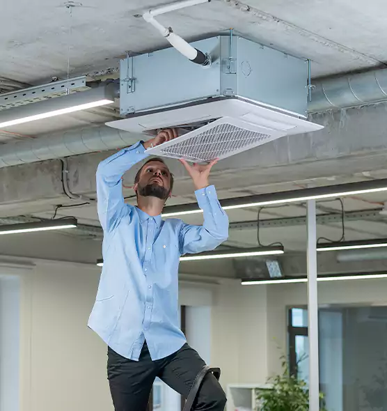Advanced Rodent Droppings In Vents in Water Town, MA