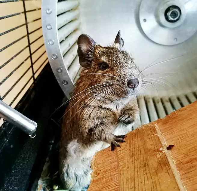 Why Homeowners & Businesses Trust Us Water Town, MA?