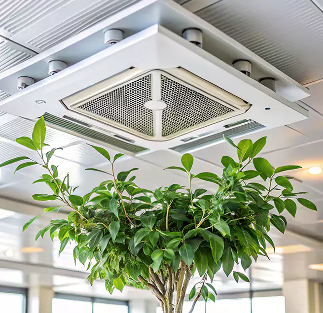 Why Homeowners & Businesses Trust Us in Water Town, MA?